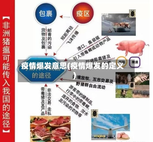 疫情爆发意思(疫情爆发的定义)