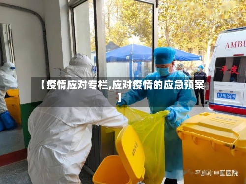 【疫情应对专栏,应对疫情的应急预案】