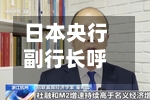 日本央行副行长呼吁对全球货币体系采取“整体性方法”-第2张图片