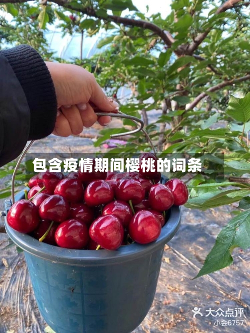 包含疫情期间樱桃的词条
