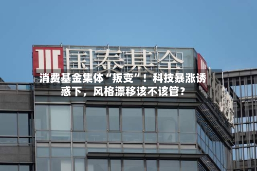 消费基金集体“叛变	”！科技暴涨诱惑下，风格漂移该不该管？-第3张图片