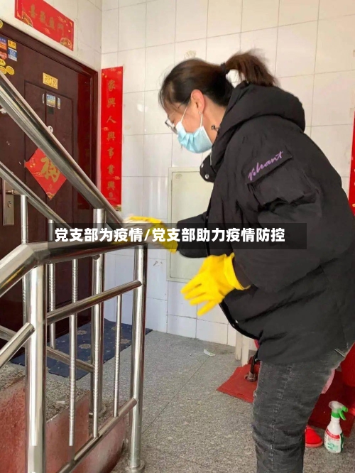 党支部为疫情/党支部助力疫情防控