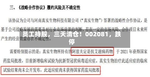 员工持股，三天清仓！002081	，跌停-第3张图片