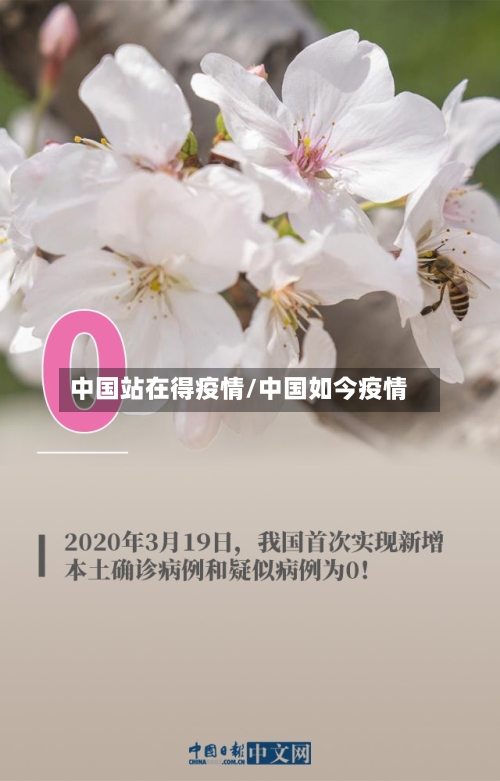 中国站在得疫情/中国如今疫情