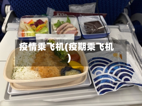 疫情乘飞机(疫期乘飞机)