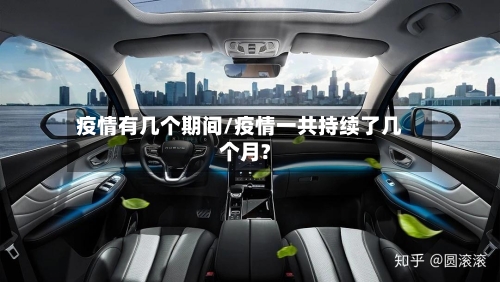 疫情有几个期间/疫情一共持续了几个月?