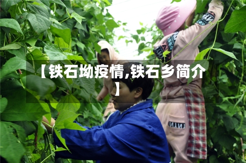 【铁石坳疫情,铁石乡简介】-第2张图片