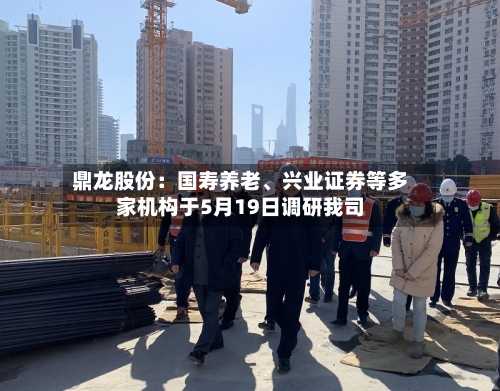 鼎龙股份：国寿养老、兴业证券等多家机构于5月19日调研我司-第2张图片