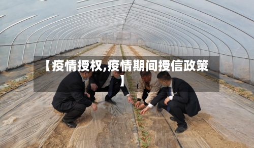 【疫情授权,疫情期间授信政策】