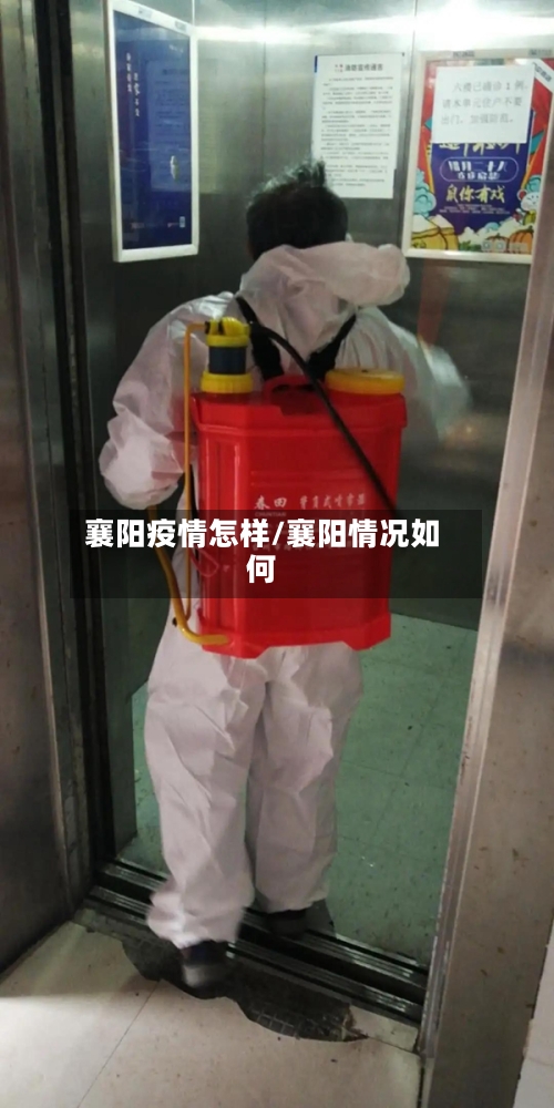 襄阳疫情怎样/襄阳情况如何-第3张图片