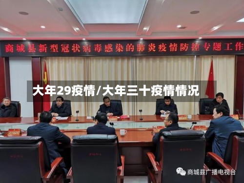 大年29疫情/大年三十疫情情况-第2张图片