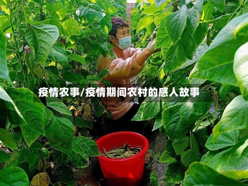 疫情农事/疫情期间农村的感人故事-第2张图片