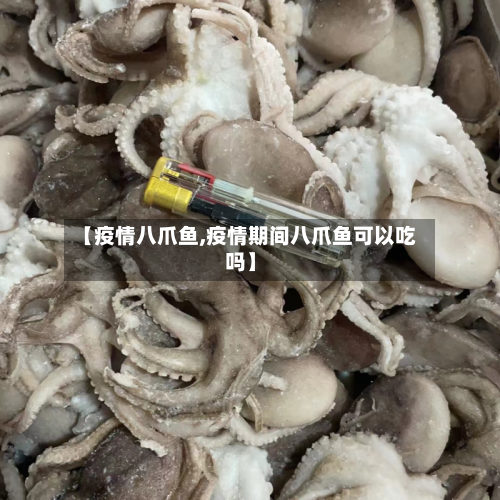 【疫情八爪鱼,疫情期间八爪鱼可以吃吗】-第2张图片