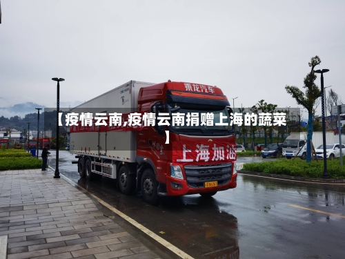 【疫情云南,疫情云南捐赠上海的蔬菜】-第2张图片