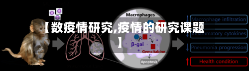 【数疫情研究,疫情的研究课题】-第3张图片