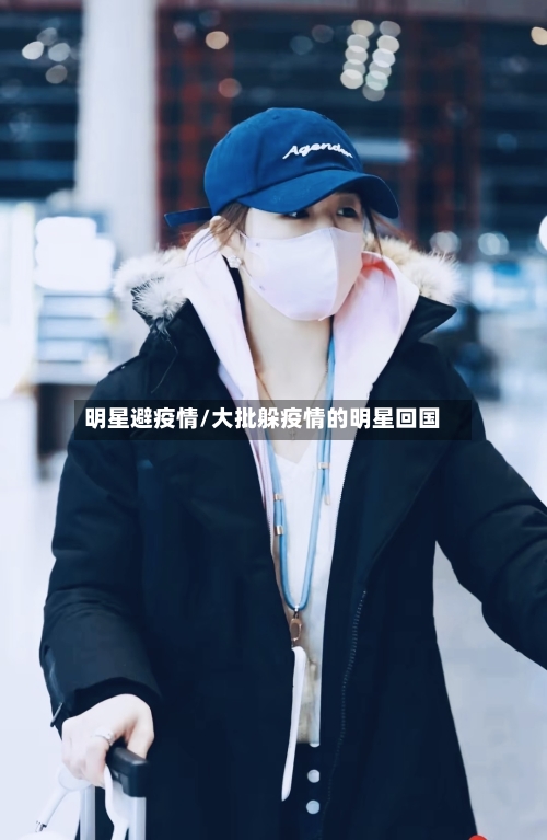 明星避疫情/大批躲疫情的明星回国-第3张图片