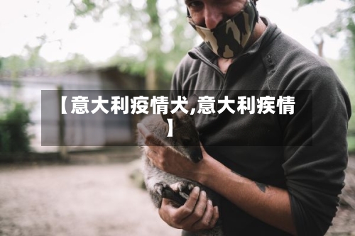 【意大利疫情犬,意大利疾情】