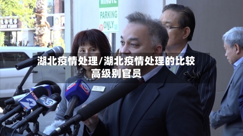 湖北疫情处理/湖北疫情处理的比较高级别官员-第2张图片