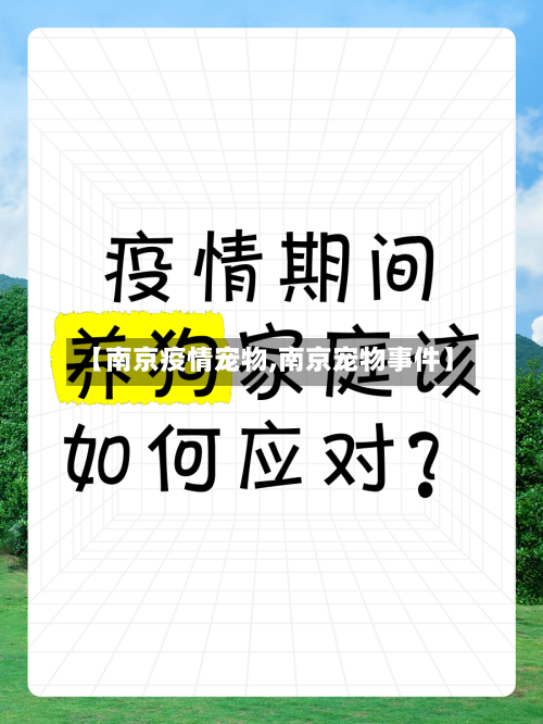 【南京疫情宠物,南京宠物事件】