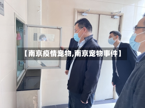 【南京疫情宠物,南京宠物事件】-第2张图片