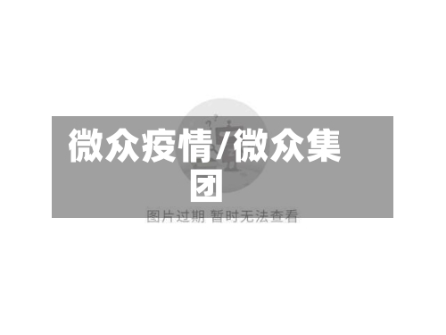 微众疫情/微众集团