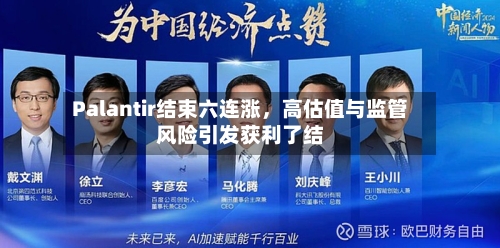 Palantir结束六连涨，高估值与监管风险引发获利了结-第2张图片