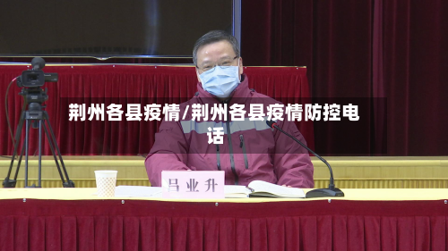 荆州各县疫情/荆州各县疫情防控电话