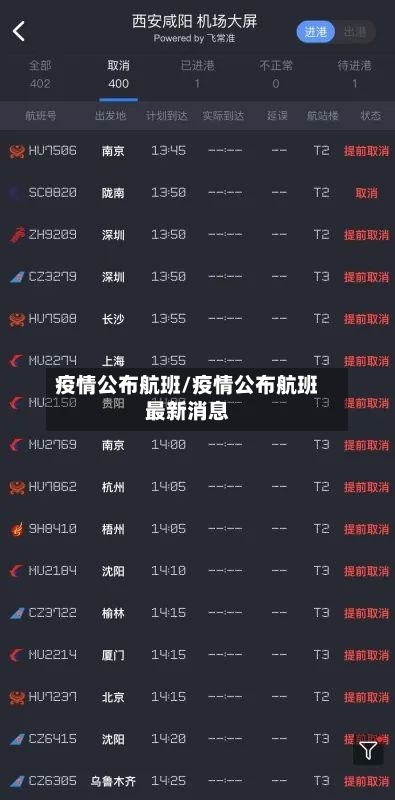 疫情公布航班/疫情公布航班最新消息-第2张图片