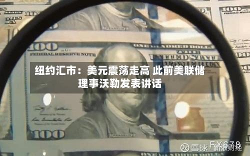 纽约汇市：美元震荡走高 此前美联储理事沃勒发表讲话