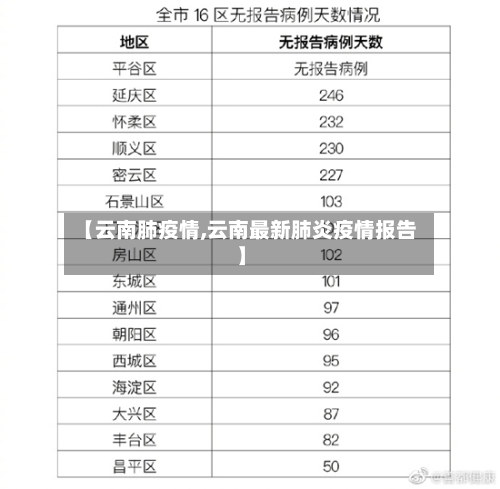 【云南肺疫情,云南最新肺炎疫情报告】-第3张图片