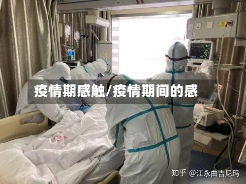 疫情期感触/疫情期间的感