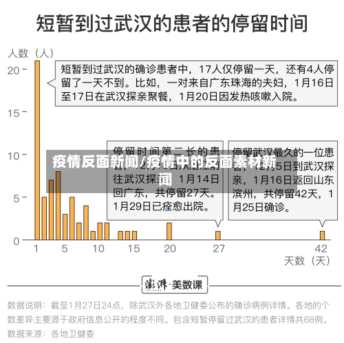 疫情反面新闻/疫情中的反面素材新闻